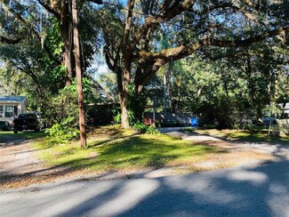 2912 Irene St, Lutz, FL 33559