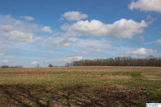 tract 9 Butler Rd, New Market, AL 35761