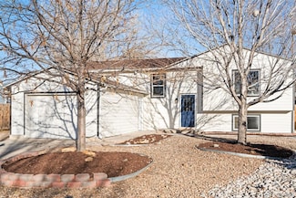 922 Park View St, Castle Rock, CO 80104