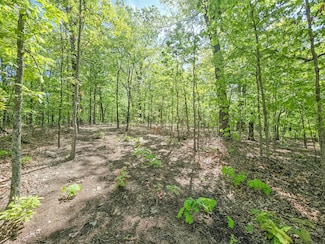 000 County Road 405c, Green Township, MO 65767
