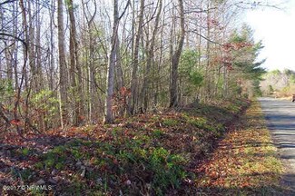 4 Buckwoods Rd, Woodlawn, VA 24381