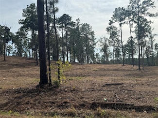 000896 County Road 219, Brookeland, TX 75931