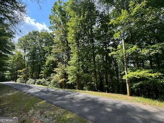 Lot M42 Sleepy Hollow Rd, Ellijay, GA 30536
