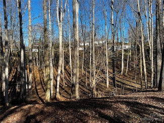 99999 W Skyland Cir, Asheville, NC 28804