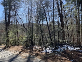 0 Pinecrest Rd Unit 7510515, Sautee Nacoochee, GA 30571