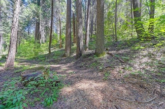 3005 Amber Trail, Pollock Pines, CA 95726