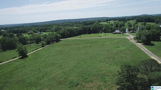 0 Highway 57 Unit Tract 3 21389690, Blountsville, AL 35031
