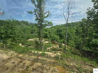 Lot 17 Missouri 64, Lebanon, MO 65536