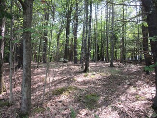 0 Lakeview Rd, Durham, NY 12423