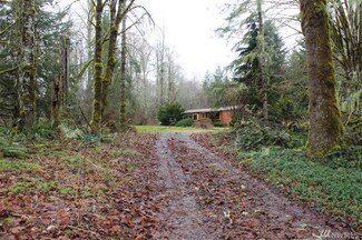 117 Archer Dr, Cinebar, WA 98533