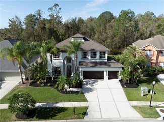 3405 Loggerhead Way, Wesley Chapel, FL 33544