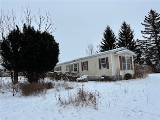 811 W State Rd, Virgil, NY 13045