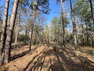 3-17-3B Winchester Rd, Huntsville, TX 77340