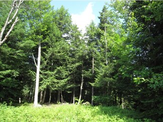 0 Saxie Welch Trail Unit 4374073, Newbury, VT 05051