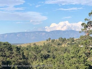 132 Linda Vista Ln, Alto, NM 88312