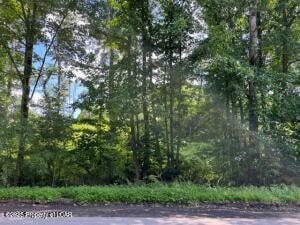 402 Hanover St, Wlks Barr Township, PA 18706