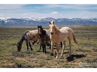 0 Jackson County Road 26 Unit RECIR1035481, Walden, CO 80480