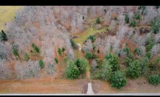 V/L 38ac Michigan 65, Curran, MI 48728