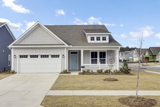 102 Black Stilt Way, Summerville, SC 29483