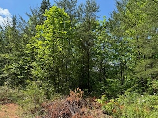Lot 11 Paradise Mountain, Marble, NC 28905