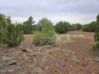 22 County Road 8111, Concho, AZ 85924