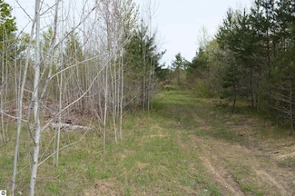 0 Spencer Rd Unit 18&19 1933995, Kalkaska, MI 49646