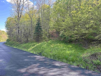TBD White Creek, Wadestown, WV 26562