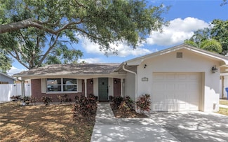 3537 12th Ave N, Saint Petersburg, FL 33713