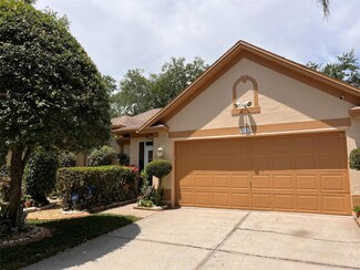 1212 Bloom Hill Ave, Valrico, FL 33596
