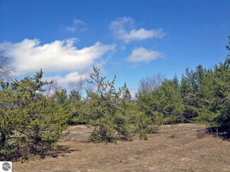 000 King Road Lot H Unit H, Thompsonville, MI 49683