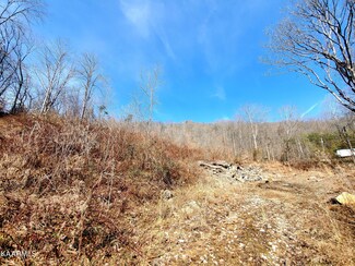 0 Right Poor Valley Rd Unit 1179555, Pennington Gap, VA 24277