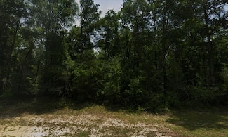 0 Norvell St, Chipley, FL 32428