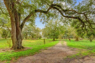 696 Tammy St, Boling, TX 77420