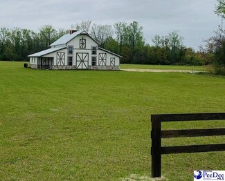 2041 Olanta Hwy, Turbeville, SC 29162