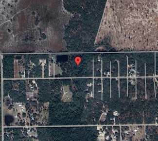 138 Pine Tree Dr, Palatka, FL 32177