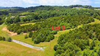1430 Swannsylvania Rd, Dandridge, TN 37725