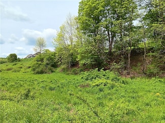 0 Kiff Brook Rd, Kortright, NY 13739