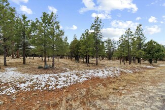 4995 Starlight Dr, Happy Jack, AZ 86024