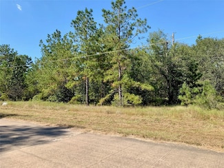 501 Big Buck Dr, Cleveland, TX 77328