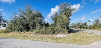 235 Dahoon Blvd, Punta Gorda, FL 33982