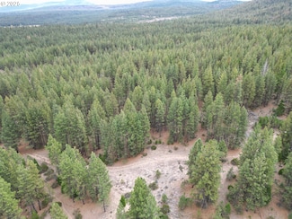 0 Whiskey Creek Rd Unit 349296718, Beatty, OR 97621