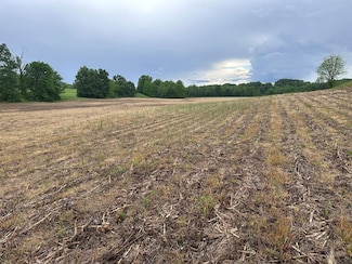 00 Road Runner Hollow Rd, Olive Branch, IL 62990