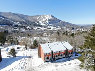 59 Scribner Hollow Rd #B-2, Hunter, NY 12442