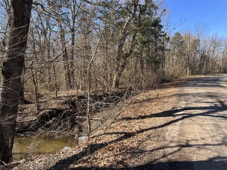 Tract 6 County Road 24900, Honey Grove, TX 75446