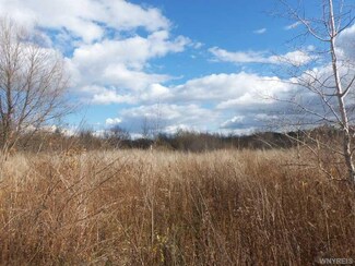 0 Moore Rd Unit B488765, Newstead, NY 14001