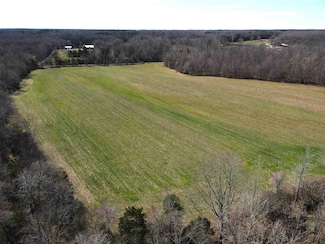 0 Davis Yancey Rd, Michie, TN 38357