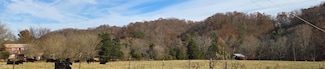 355 N Austin Springs Rd, Piney Flats, TN 37686