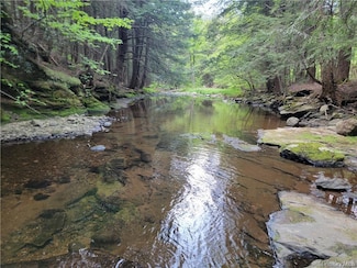 172 Eagles Ridge Way, Liberty, NY 12768