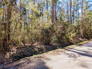 00 Diane St, Lacombe, LA 70445