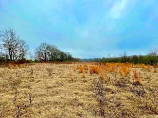 4.16 ac (+/-) 26-17-01e Highway 67, Walnut Ridge, AR 72476